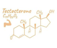 Human hormone testosterone concept chemical skeletal formula icon label, text font vector illustration, isolated on white. Periodic element table.