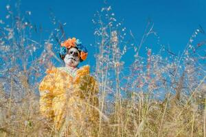 On the Day of the Dead, people in nature photo