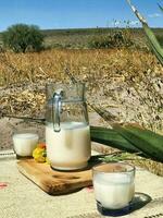 Savor the flavors of Mexico with pulque, a refreshing maguey drink photo