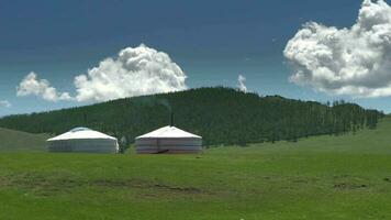 mongolisch Zelte im das Wald und Grün Wiesen video