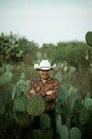 Person in a hat observes the desert landscape with cacti. photo