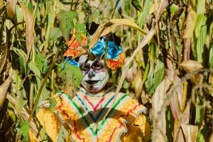 Mexican woman in colorful dress and skull makeup in the mexican desert cactus photo