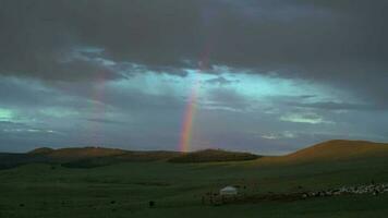 regenboog, ger tenten en schapen kudde in de Mongools weiden Bij zonsopkomst video