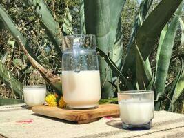 Savor the flavors of Mexico with pulque, a refreshing maguey drink photo