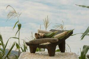 In Mexico, the metate is a symbol of tradition, connecting people with nature and food photo
