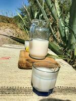 saborear el sabores de mexico con pulque, un refrescante maguey bebida foto