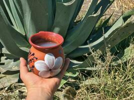 pulque un tradicional mexicano bebida desde el maguey planta, arraigado en naturaleza foto