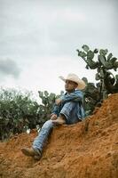 Cowboy under the vast sky, surrounded by cacti, working on a farm photo