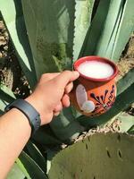 Pulque a traditional Mexican drink from the maguey plant, rooted in nature photo