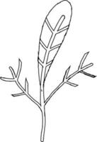 Branch with leaves line drawing. vector