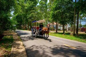 Cu Chi, Viet Nam - 20 May 2023 Horse and a beautiful old carriage in  Cu Chi, Vietnam. The historic district revolutionary beside Cu Chi tunnel, a famous base of revolutionary Vietnam before 1975. photo