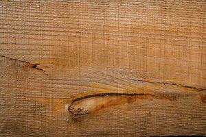 Brown wood texture. Abstract wood texture background. photo