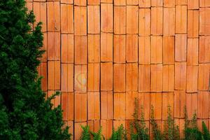 Clásico rojo ladrillo pared antecedentes descuidado con hiedra foto