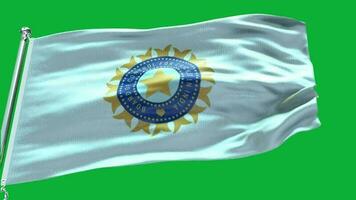 indisk cricket flagga video