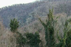 Historical Harpers Ferry WV photo