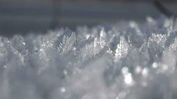 Rime Ice Crystals and Hoar Frost Covered on Untouched Ground video