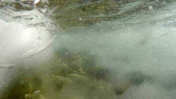 gelo floe embaixo da agua dentro congeladas frio rio águas video