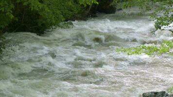 An Incredibly Fast Flowing Raging Foamy River in Spring Forest with Slow Motion video