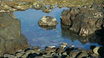 Transparent natural pool among volcanic stones video