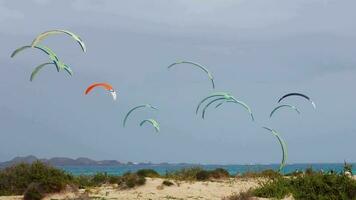 veel van vliegers in de lucht, voorbereiding voor kiteboarden wedstrijden video