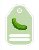 Cute vegetable label. Memo, writing paper.Label with the image of a cucumber vector