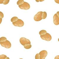 Seamless pattern with potatoes on a white background. Pattern with vegetables vector