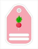 Cute vegetable label. Memo, writing paper.Label with the image of radish vector