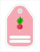 Cute vegetable label. Memo, writing paper.Label with the image of radish vector