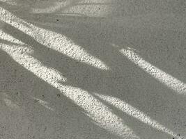 hojas sombra antecedentes en de madera piso textura, hojas árbol ramas sombra con luz de sol foto