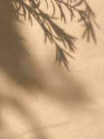 hojas sombra antecedentes en hormigón pared textura, hojas árbol ramas sombra foto