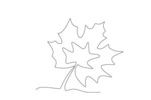 Illustration of an autumn leaf vector