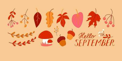 Hola septiembre. septiembre mes vector con hojas, bayas, bellota y hongos. decoración otoño texto mano letras.