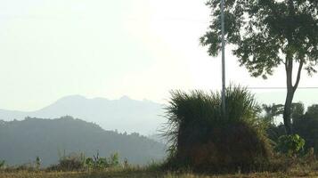 View of the mountains from the top of the hill photo