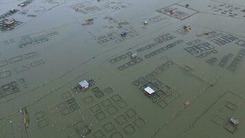 Aerial view of a Fish Farm In Summer Lake Or River In Beautiful Summer Sunny Day. Limboto lake photo