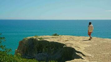 A woman standing on a cliff, marveling at the breathtaking ocean view video