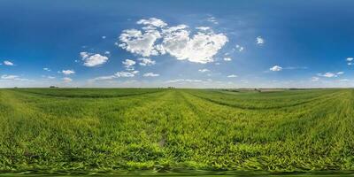 spherical 360 hdri panorama among green grass farming field with clouds on blue sky in equirectangular seamless projection, use as sky replacement, game development as sky dome or VR content photo