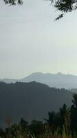 View of the mountains from the top of the hill photo