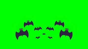 Halloween Schläger fliegen Animation Grün Bildschirm video