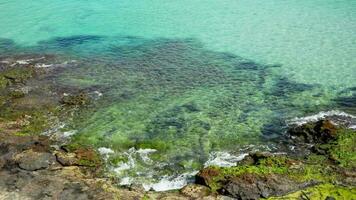 Rocky shore with clear water, shallow video