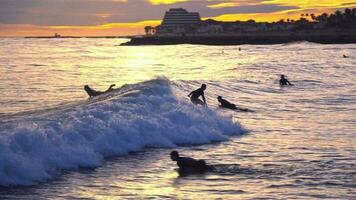 surfing i spanien, sitges stad, solnedgång video