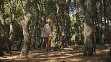 un mujer en pie graciosamente en medio de el encantador belleza de el terragona bosque video