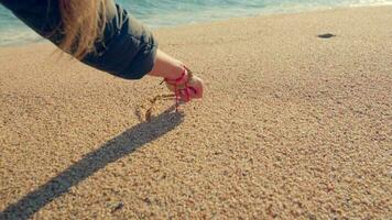A girl draws a heart on the sand. video