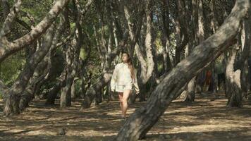 un mujer caminando mediante un sereno arboleda de arboles en terragona video