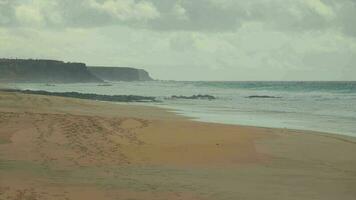 Wild beach without people in cloudy weather. video