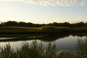 Fantastic Look at Sun Reflecting on Marsh Grass photo