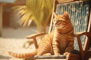 Ginger cat resting on beach chair. Cat tropical vacation. . photo