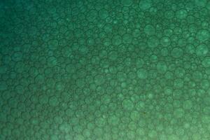 green and white polka dot textile photo