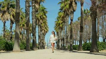 un' ragazza passeggiate lungo un' palma vicolo su un' luminosa soleggiato giorno. video