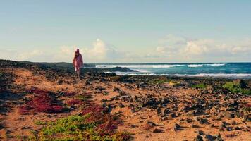 une fille des promenades le long de le volcanique rive à le coucher du soleil. video