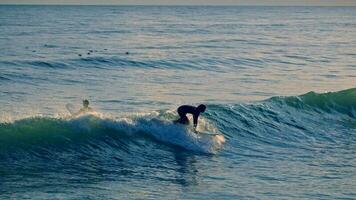 surfing i spanien, sitges stad, solnedgång video